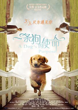 好的妈妈3-2020